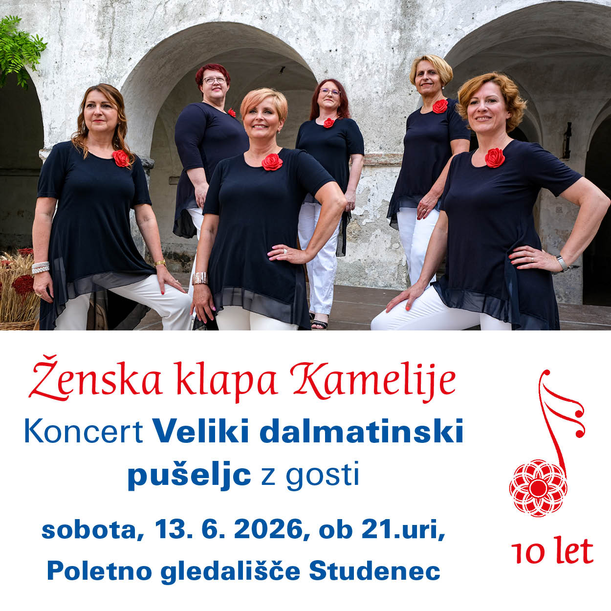 VELIKI DALMATINSKI PUŠELJC