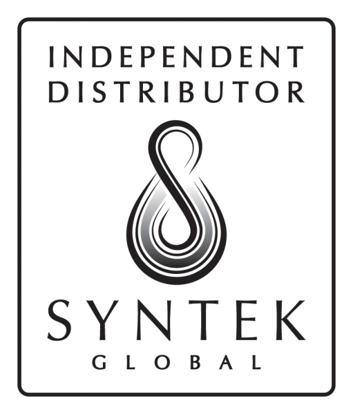 Trening trženja sodelavcev Syntek Global-a