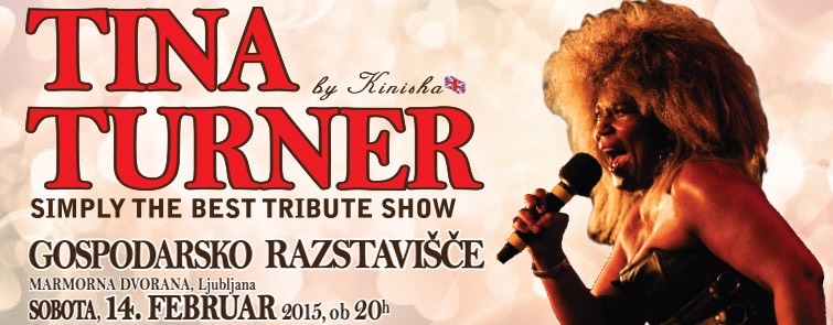TINA TURNER Simply The Best tribute