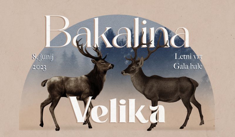 Tickets for BAKALINA VELIKA (SI), 08.06.2023 on the 20:00 at Letni vrt Gala hale, Metelkova (Ljubljana)