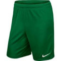 Moške zelene kratke hlače NIKE 725887-302